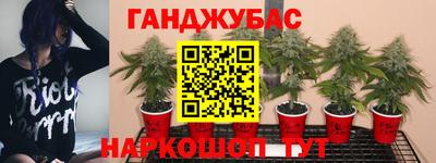 PSILOCYBIN Кулебаки
