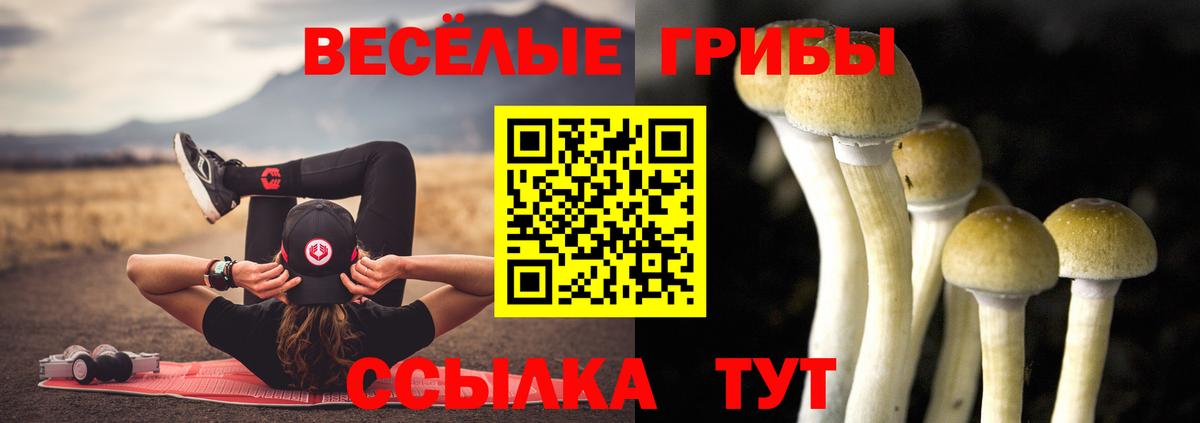 Дубна  Галлюциногенные грибы ЛСД  Вход с VPN 